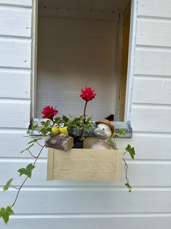 Green Paradise & Cozy Retreat Salzburg With Free Parking Exterior foto